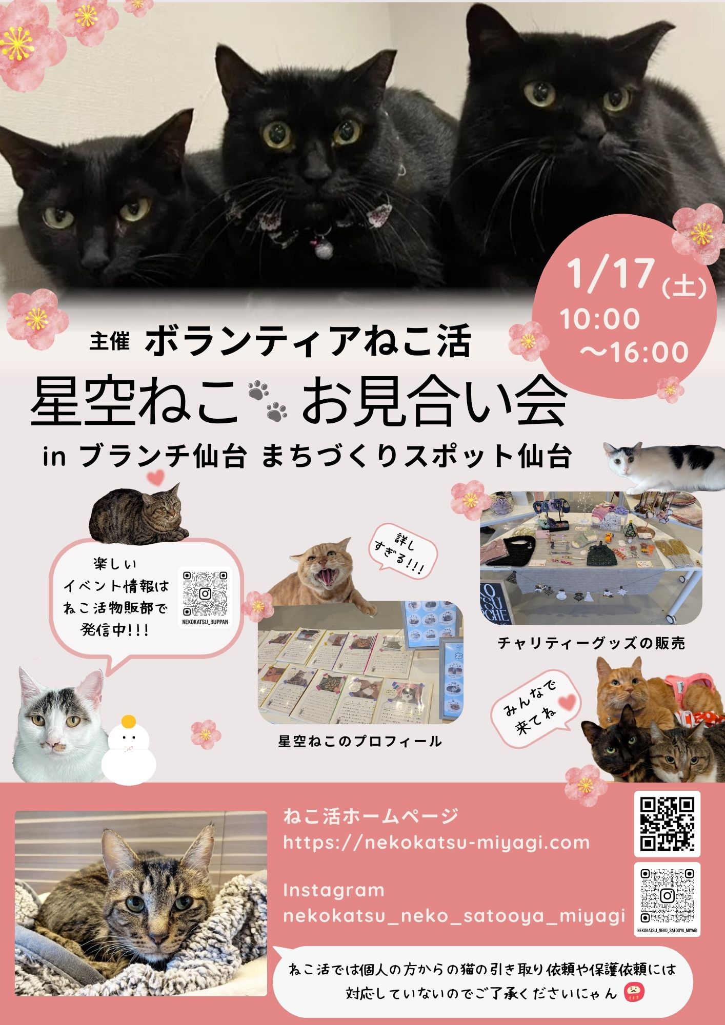 2026年1月17日のポスター